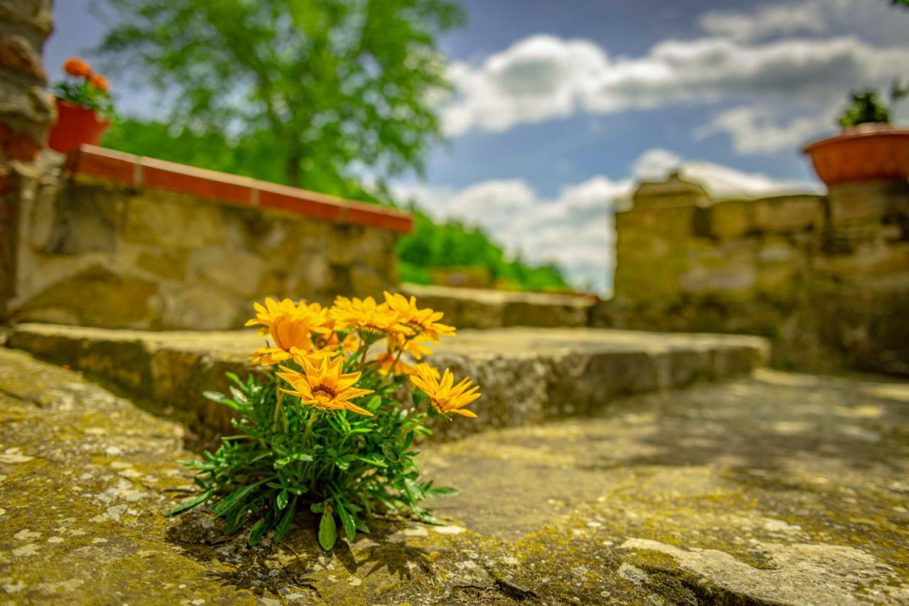 Casa Al Bosco Guest House Sant'Ellero Luaran gambar